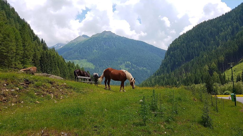 Gaestehaus Truskaller Hotel Mallnitz Kültér fotó